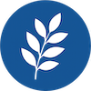 Medical Aesthetics